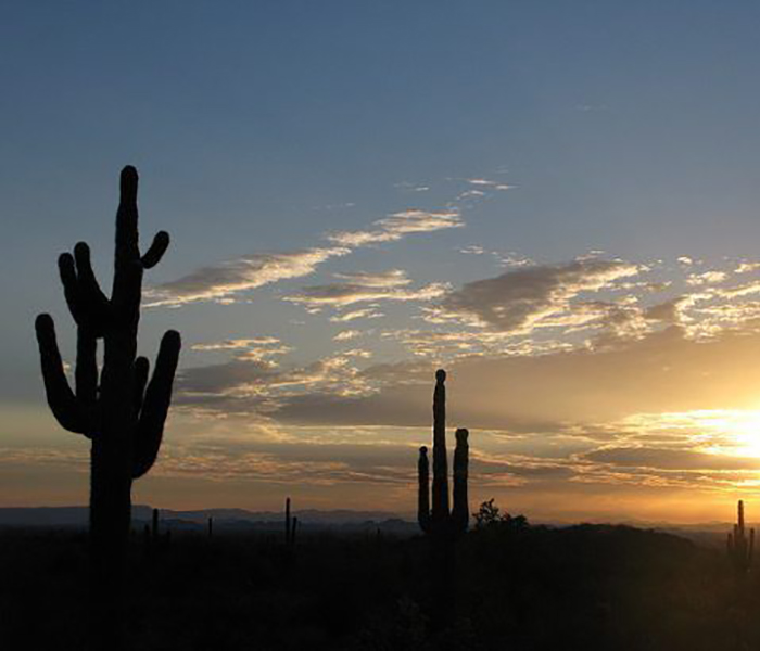 Entitled and Vacant Land